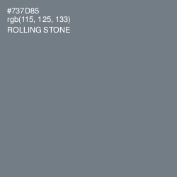 #737D85 - Rolling Stone Color Image